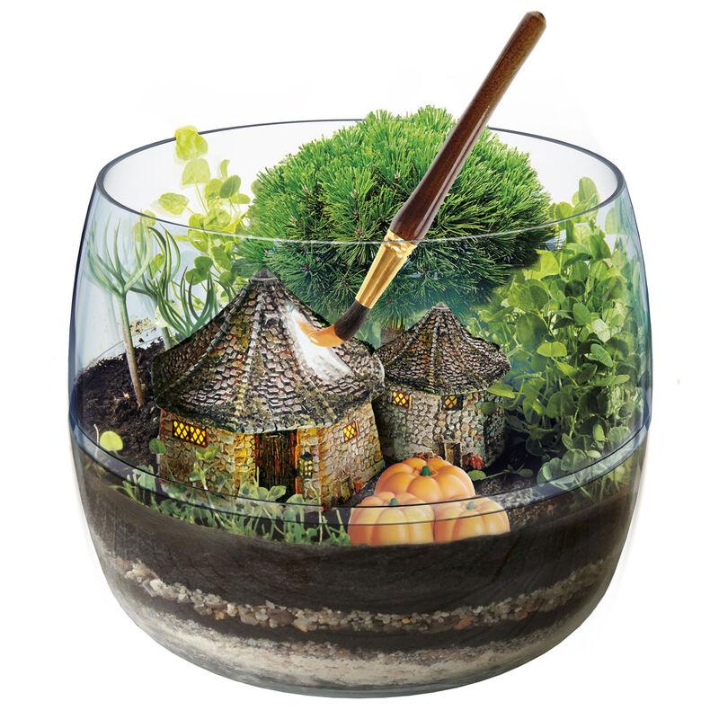 HARRY POTTER - Terrarium - 2