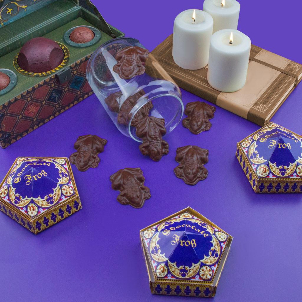 HARRY POTTER Chocolate Frog Mold + 8 papers box