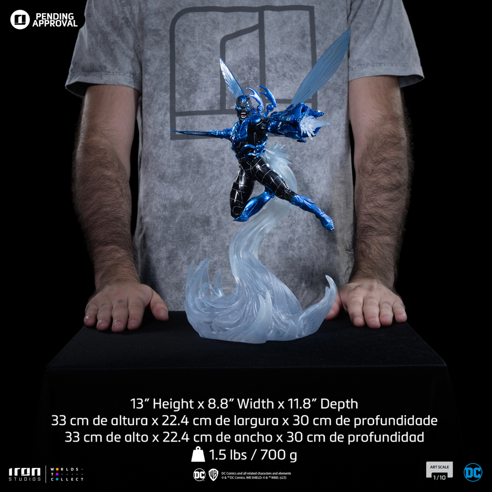 Image agrandie