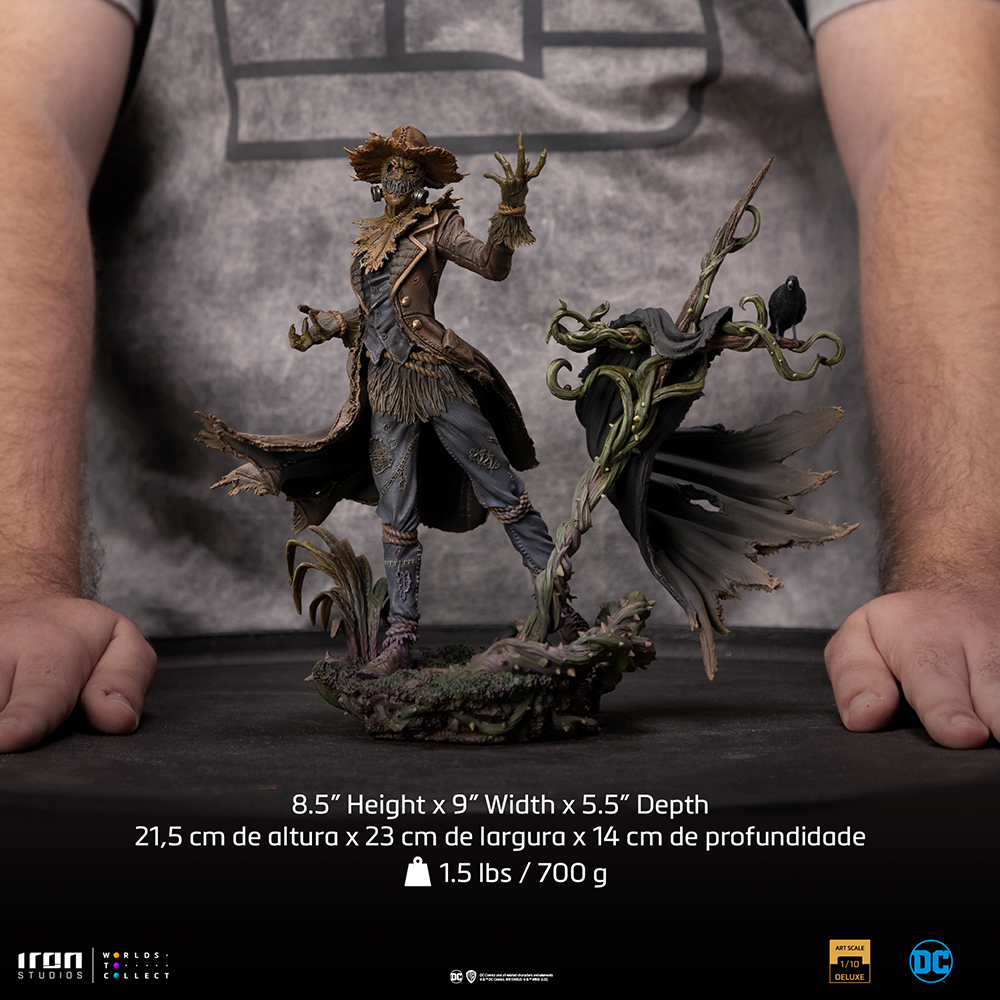 Epouvantail Corbeau Pour éloigner Les Pigeons