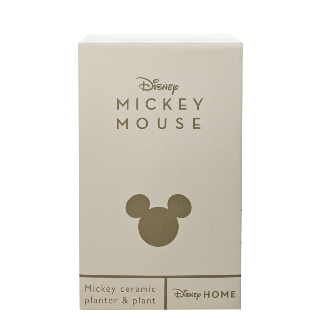 MICKEY - Shapes - Black&White - Pot + Fausse Plante - 3