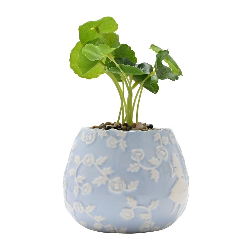 ALICE IN WONDERLAND - Duo - 2 Mini Planters with Faux Plants - 4