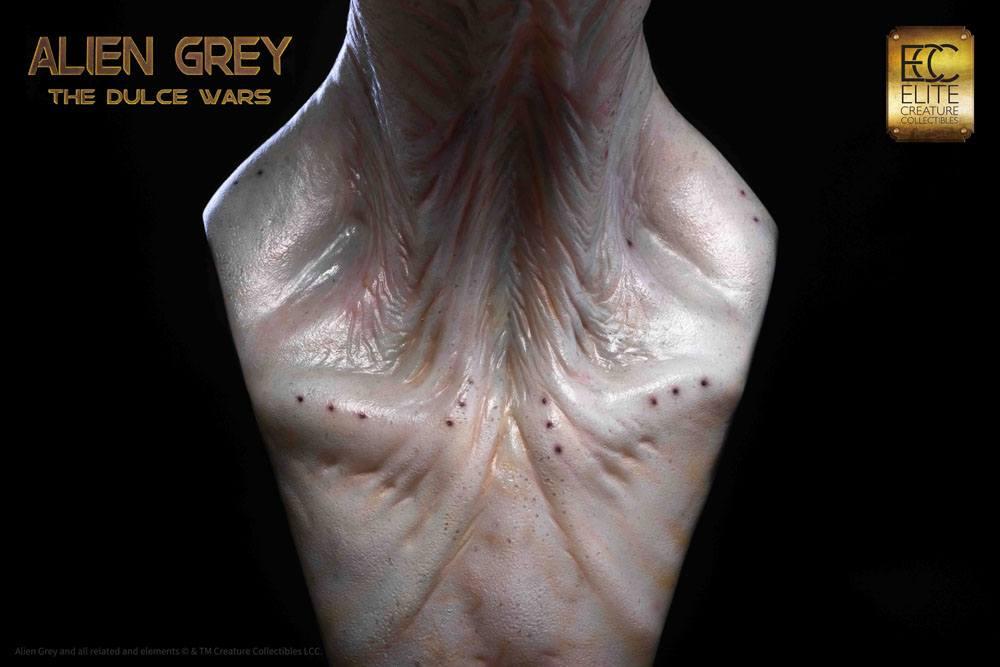 THE DULCE WARS - Alien Gris - Buste 61cm - 5