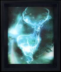 Image agrandie