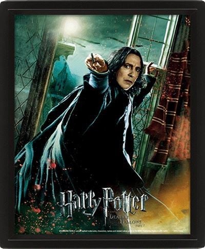 HARRY POTTER - Deathly Hallows - 3D Lenticular Poster 26x20cm_IMAGE_1