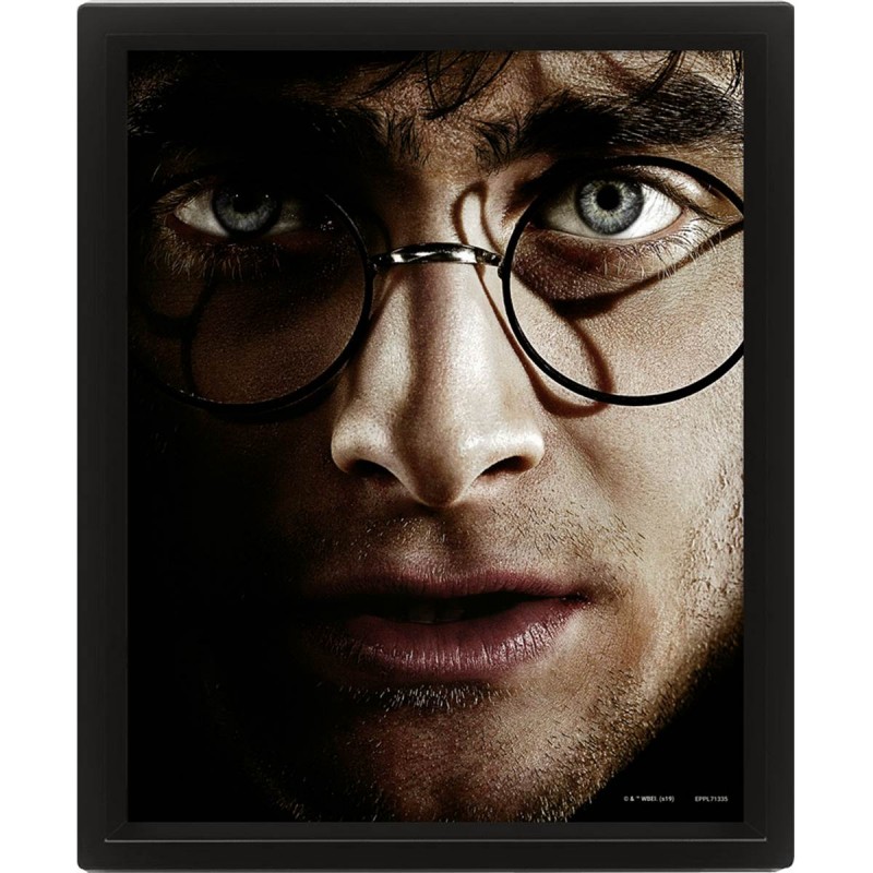 HARRY POTTER - Harry vs Voldemort - 3D Lenticular Poster 26x20cm_IMAGE_1