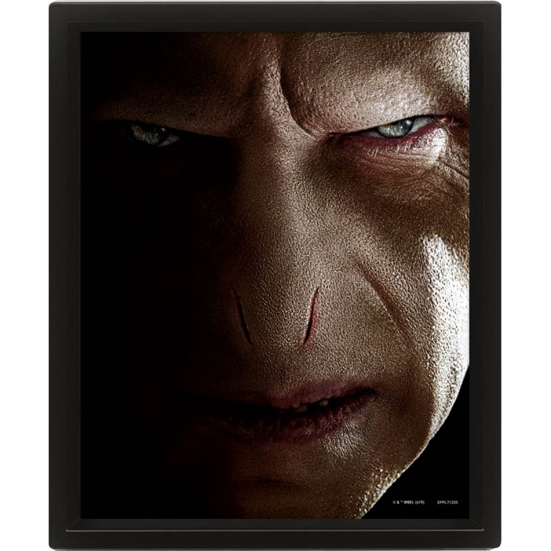 HARRY POTTER - Harry vs Voldemort - 3D Lenticular Poster 26x20cm_IMAGE_2