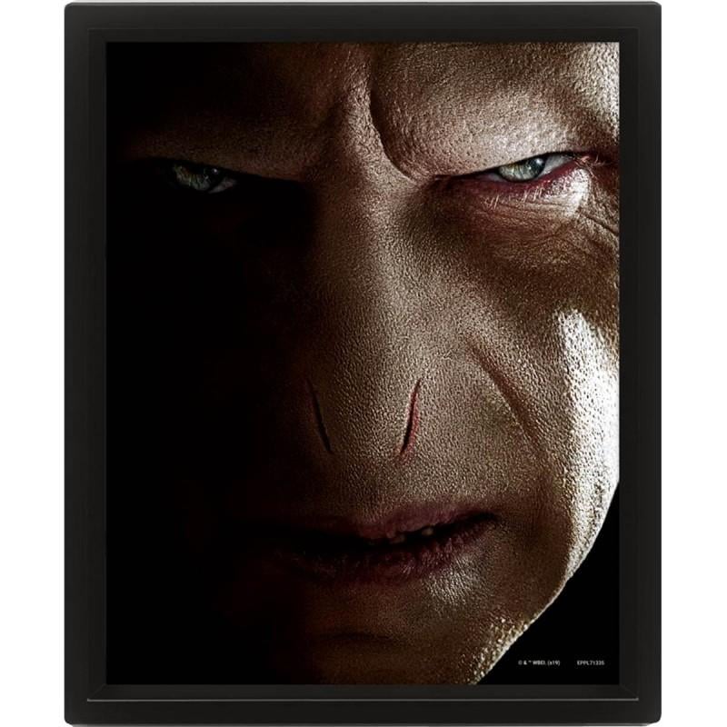 HARRY POTTER - Harry vs Voldemort - 3D Lenticular Poster 26x20cm - 2