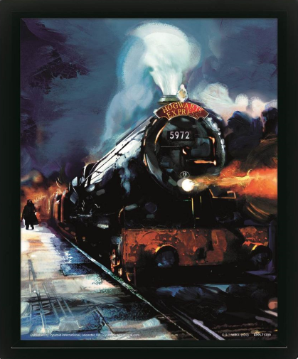 HARRY POTTER - Hogwarts Express - 3D Lenticular Poster 29x24x4cm_IMAGE_1