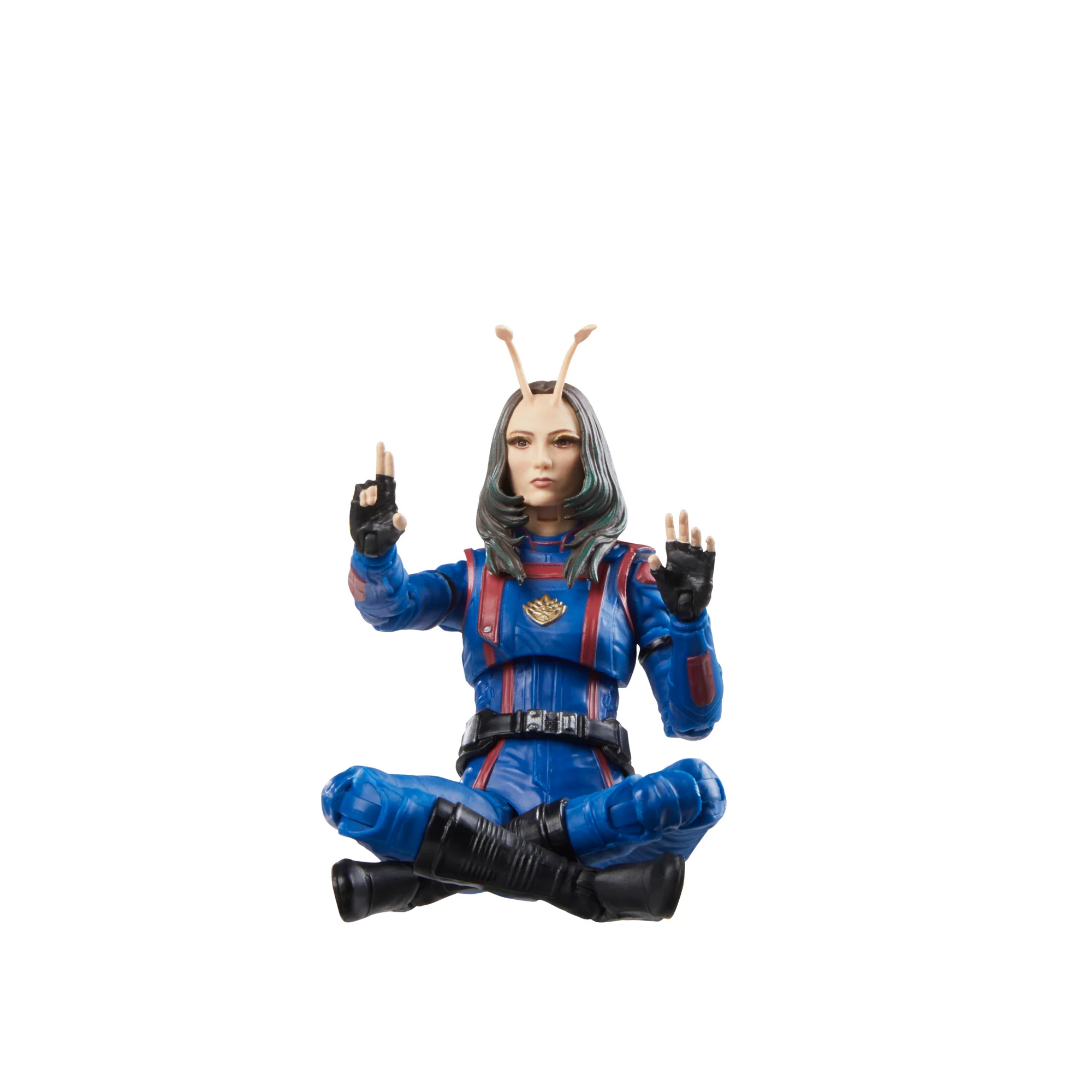Image agrandie