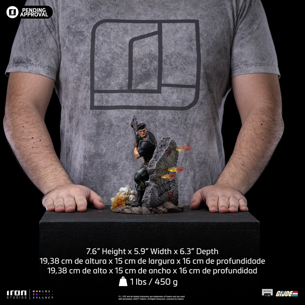 Image agrandie