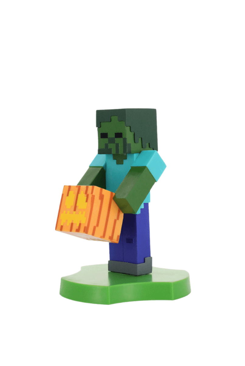 Image agrandie