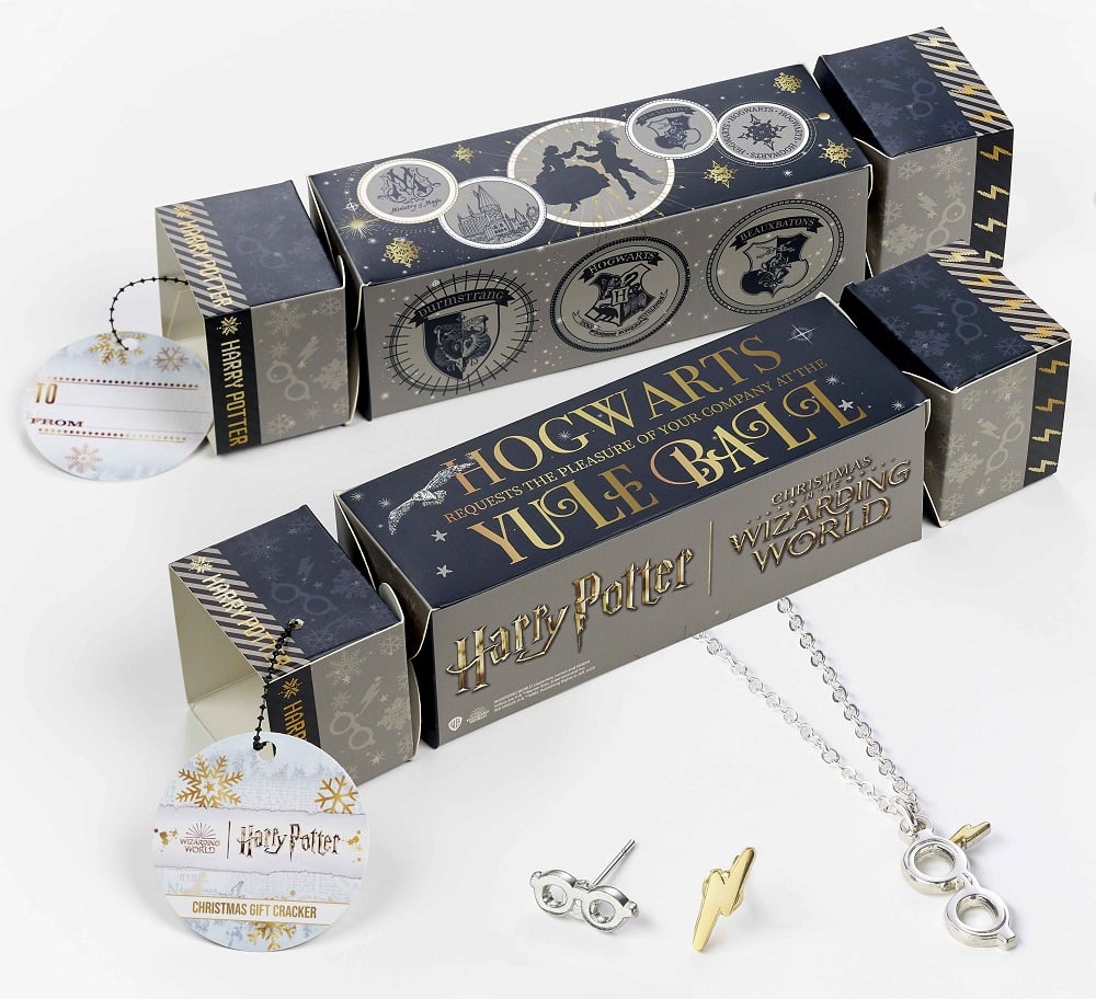 HARRY POTTER - Gift Craker  - Glasses Necklace & Earings_IMAGE_1