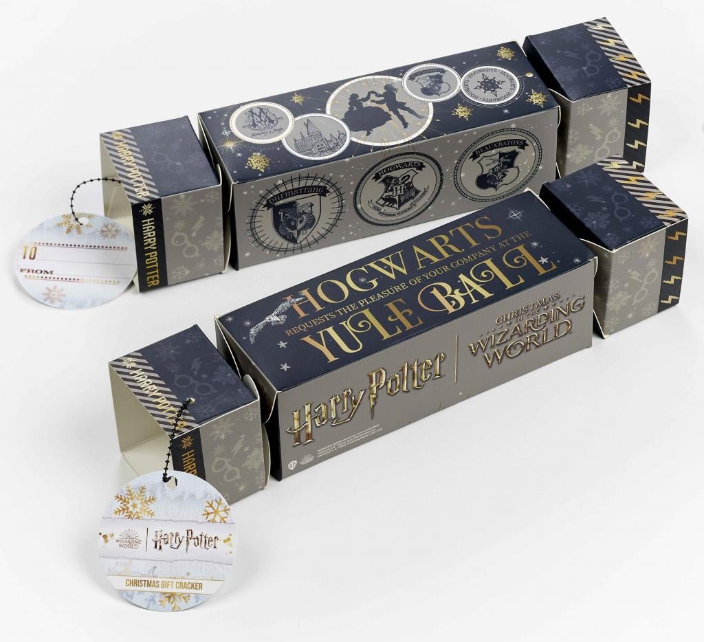 HARRY POTTER - Gift Craker  - Glasses Necklace & Earings - 2