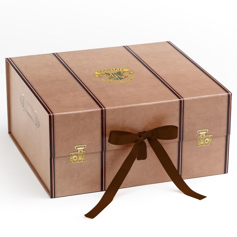 HARRY POTTER Gift Box (Vide) Format Large Pack