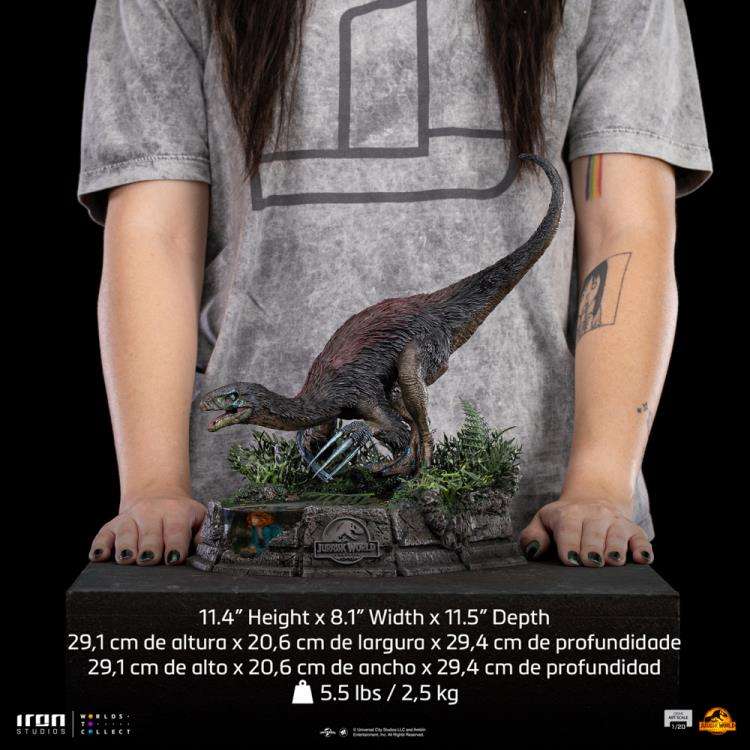 Image agrandie