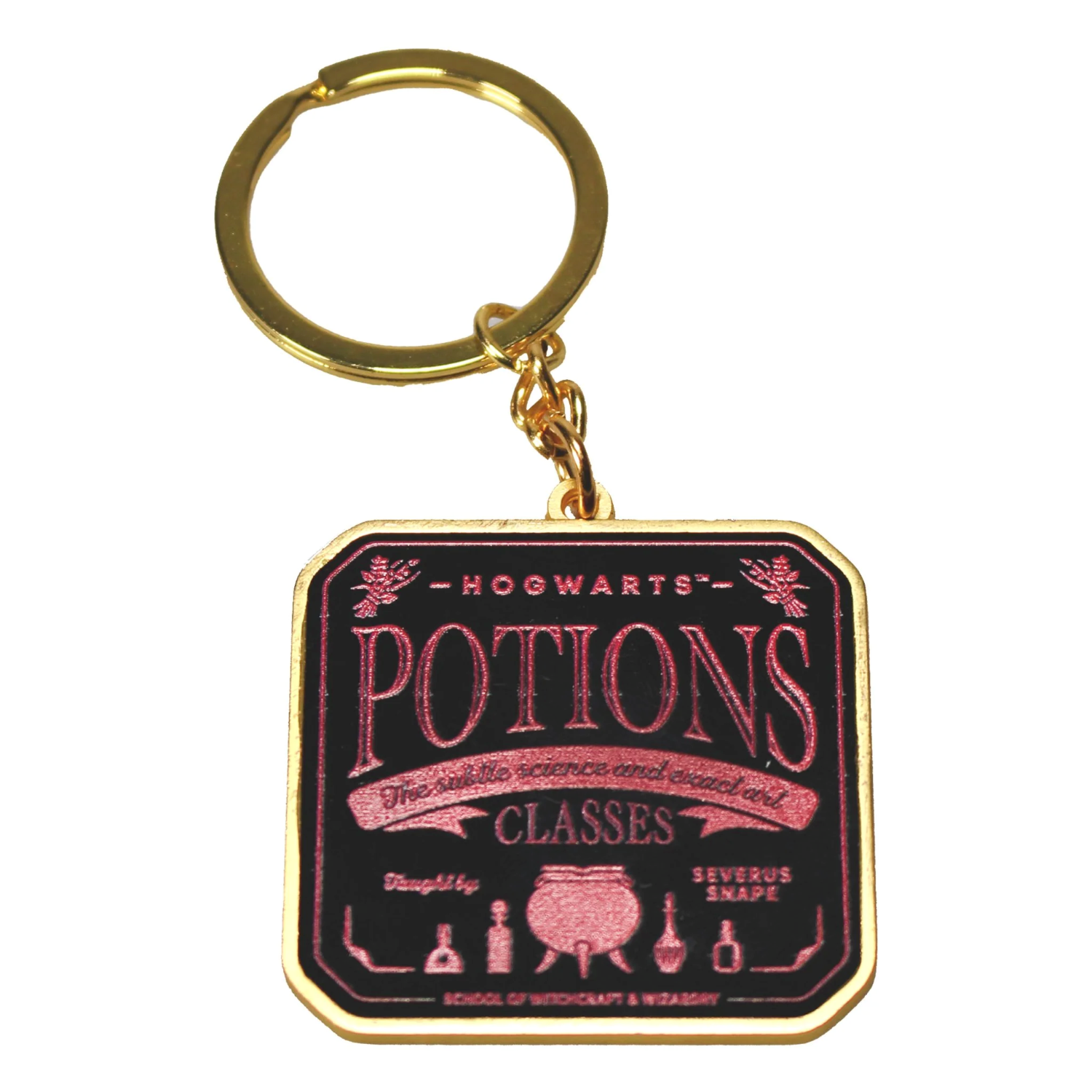 HARRY POTTER - Potions - Porte-clé : : Porte clés HMB Harry  Potter