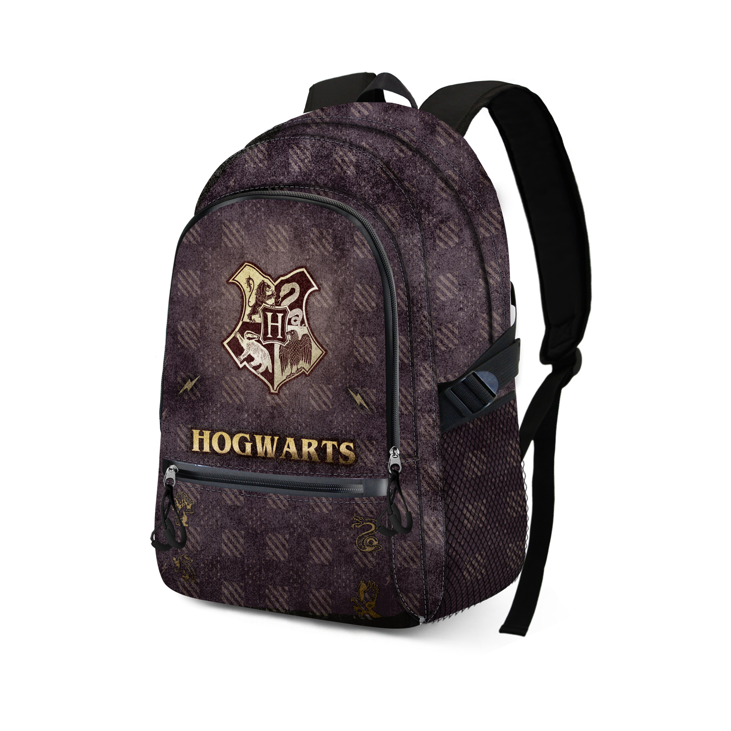 HARRY POTTER - Hogwarts & Golden Snitch - Fight BackPack '31x18x44cm'_IMAGE_1