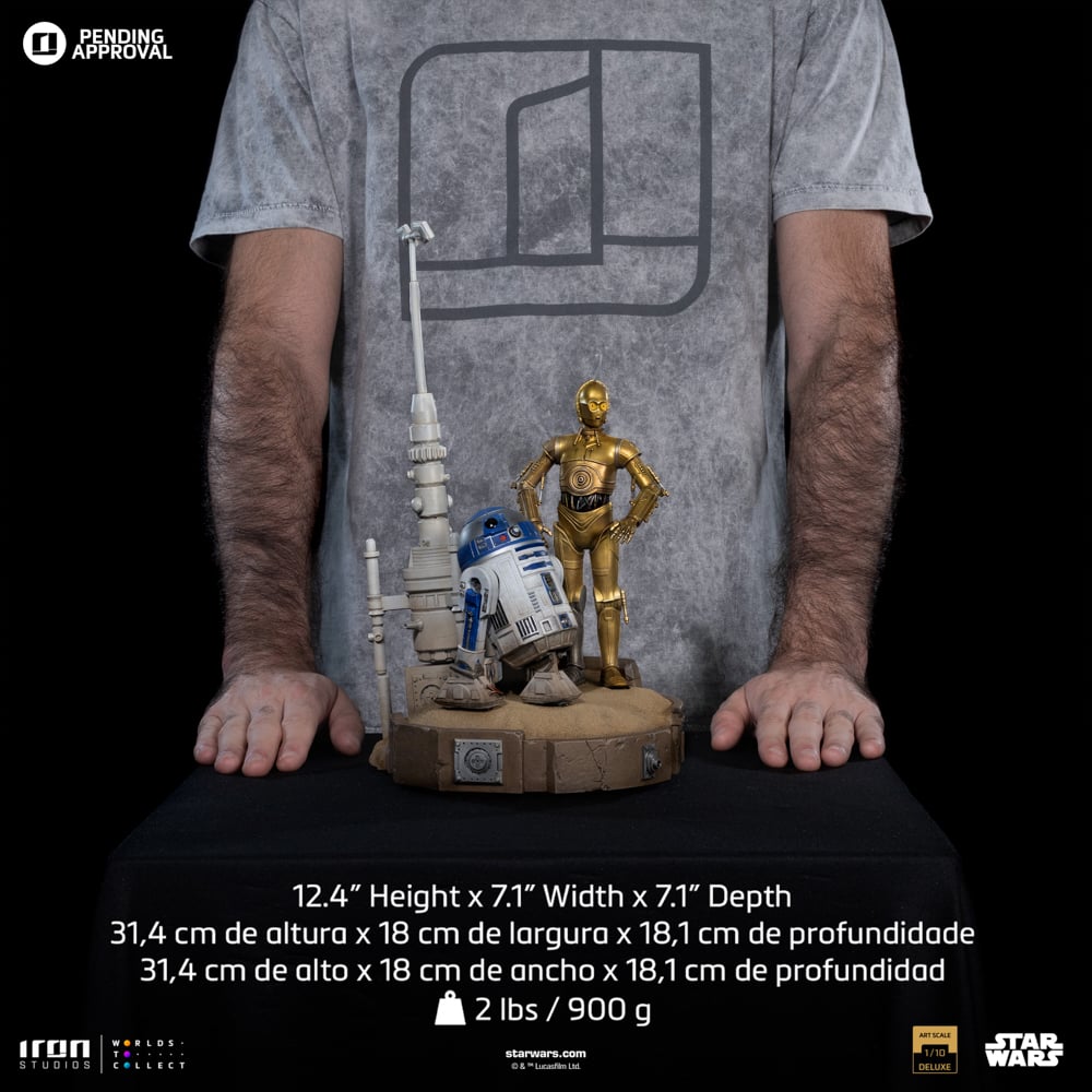 Image agrandie
