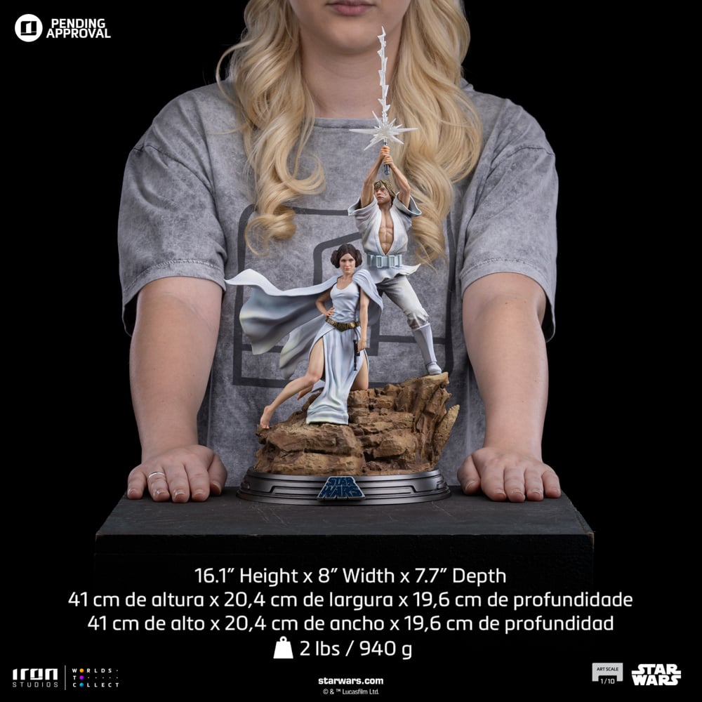 Image agrandie