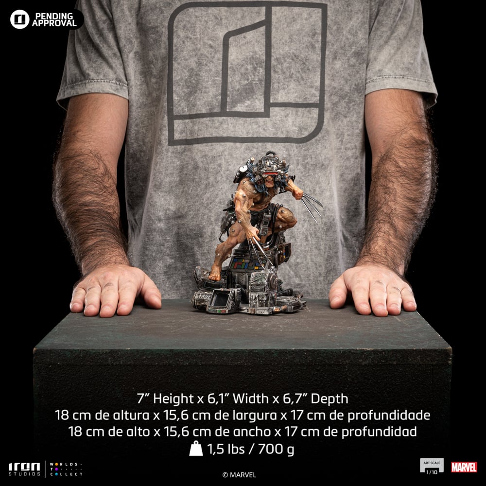 Image agrandie