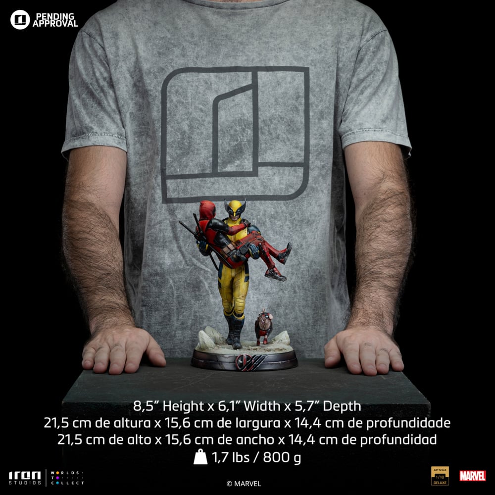 Image agrandie