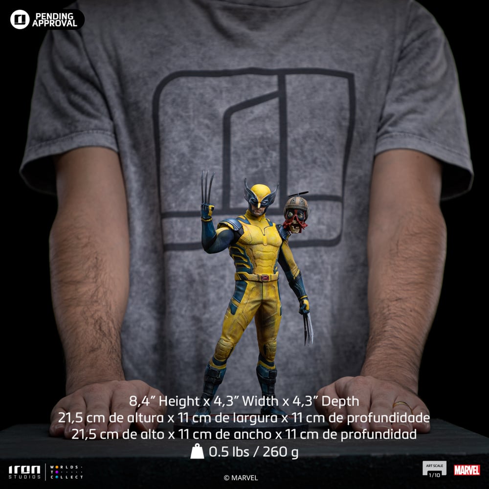 Image agrandie