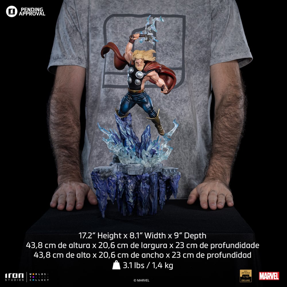 Image agrandie
