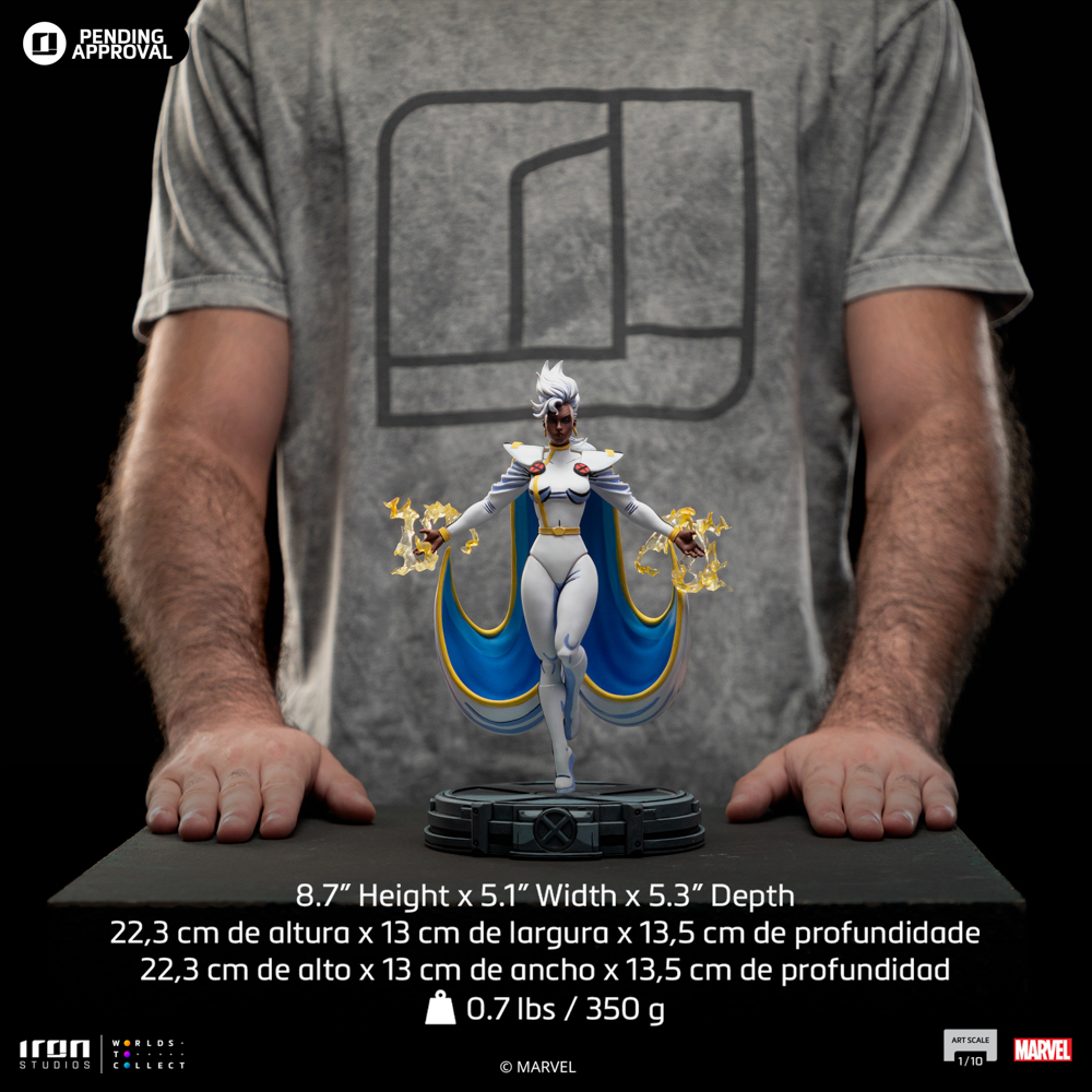 Image agrandie