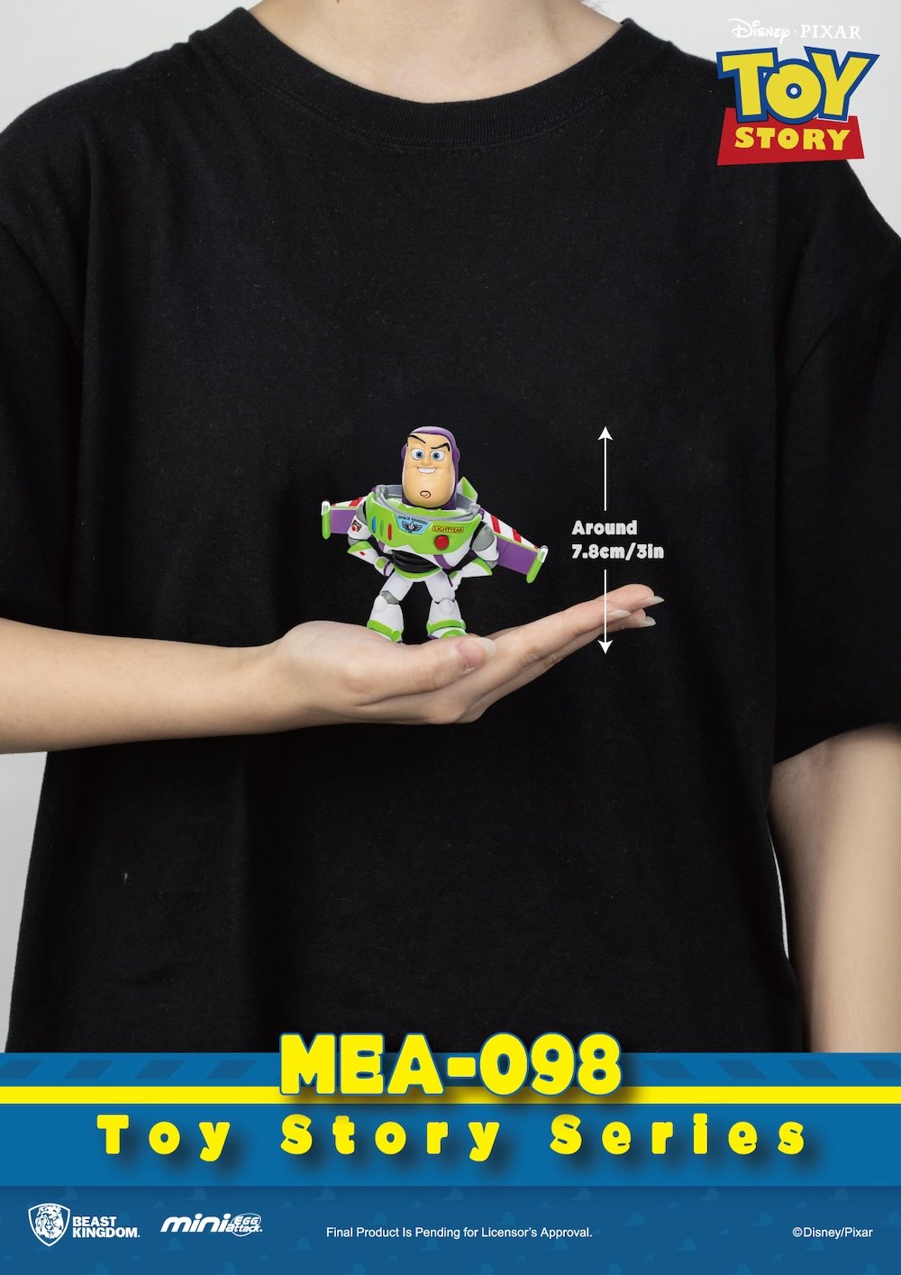 Image agrandie