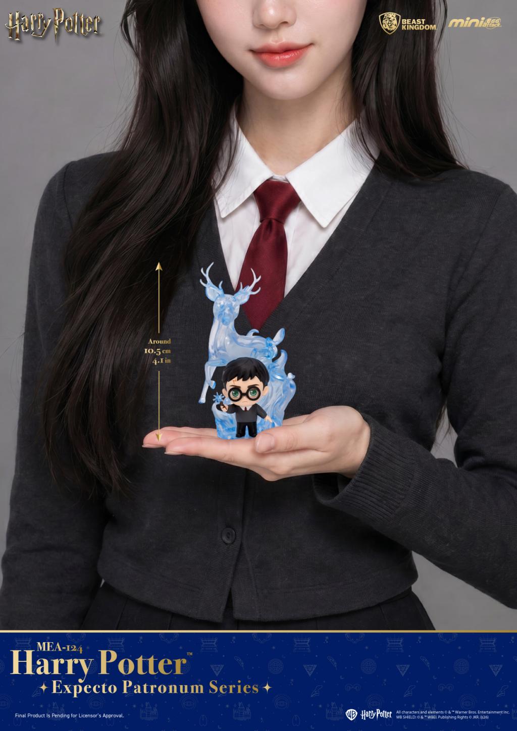 HARRY POTTER - Expecto Patronum - Blind Box Set 6 Figurine 11cm - 6