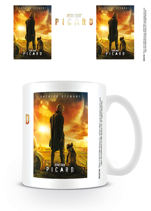 STAR TREK - Mug - 315 ml - Picard - Picard Number One : ShopForGeek.com: Mug Pyramid Star Trek