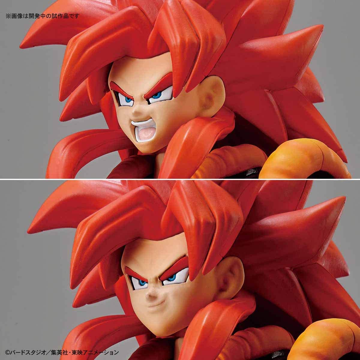 Image agrandie