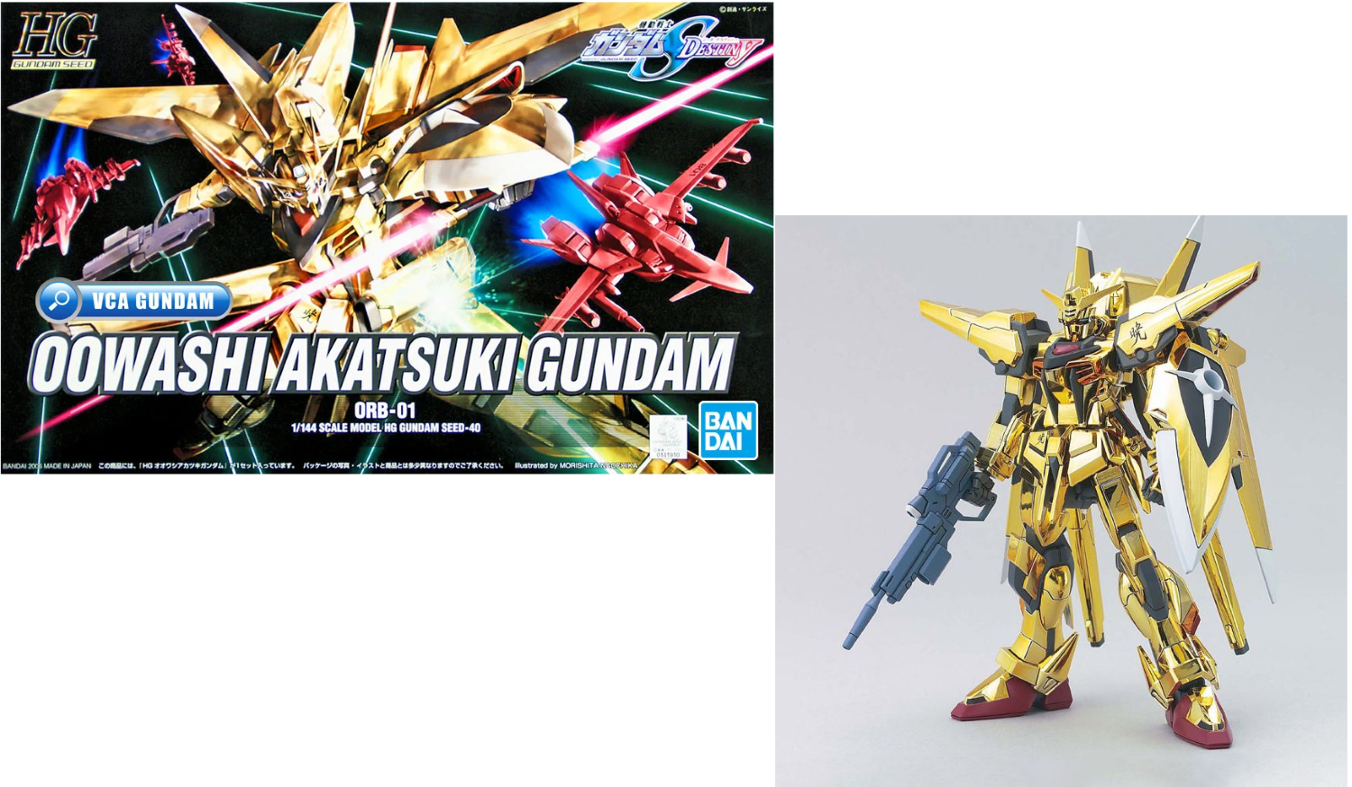 Bandai Hobby · Maquette Gundam - 011 Destiny Gundam Gunpla Rg 1/144 13Cm  (Toys)