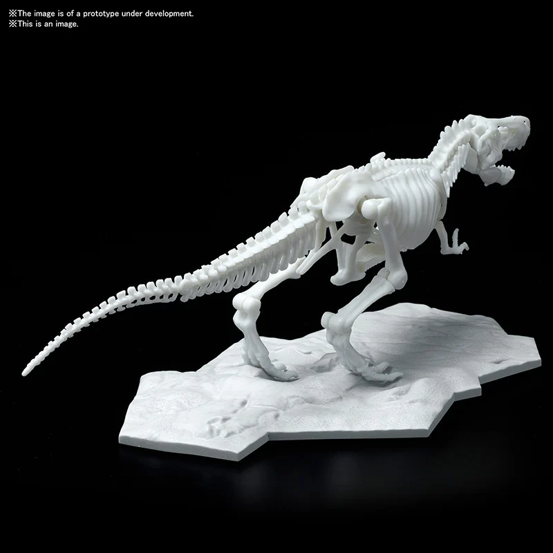 BANDAI - Dinosaur Limex Skeleteon Tyrannosaurus - Model Kit - 3