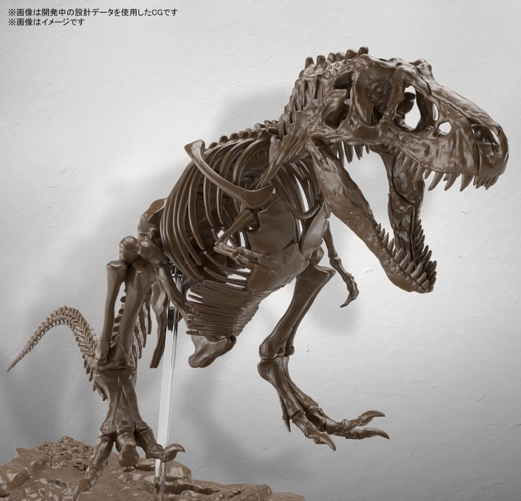 BANDAI - 1/32 Imaginary Skeleton Tyrannosaurus - Model Kit - 4