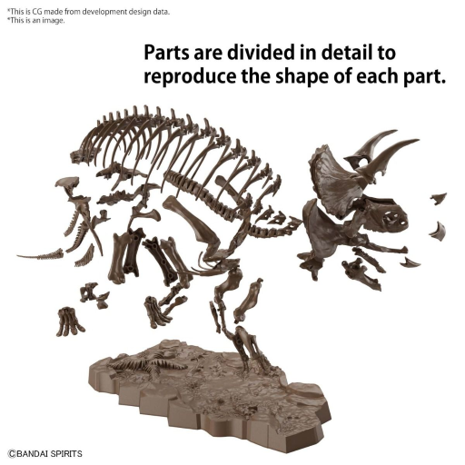 IMAGERY SKELETON - 1/32 Triceratops - Model Kit - 4