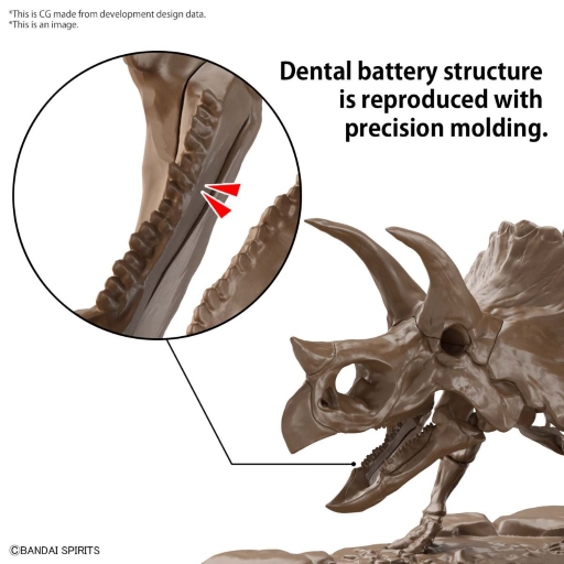 IMAGERY SKELETON - 1/32 Triceratops - Model Kit - 5