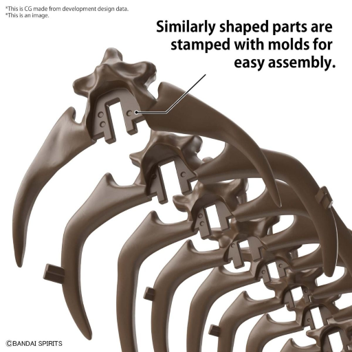 IMAGERY SKELETON - 1/32 Triceratops - Model Kit - 6