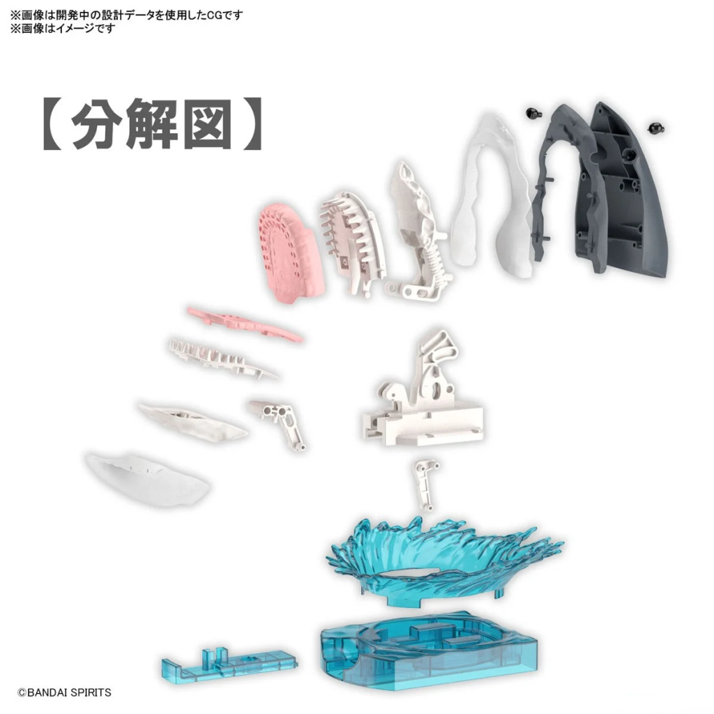 EXPLORING LAB NATURE - Great White Shark - Model Kit - 3