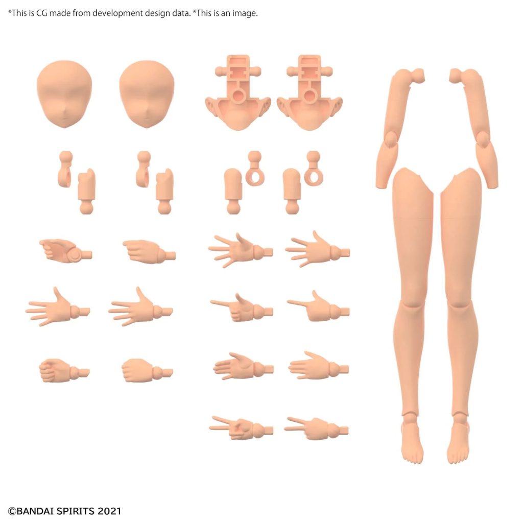 30MS - 30MS Option Body Parts Arm & Leg Parts (Color C) - Model Kit - 2