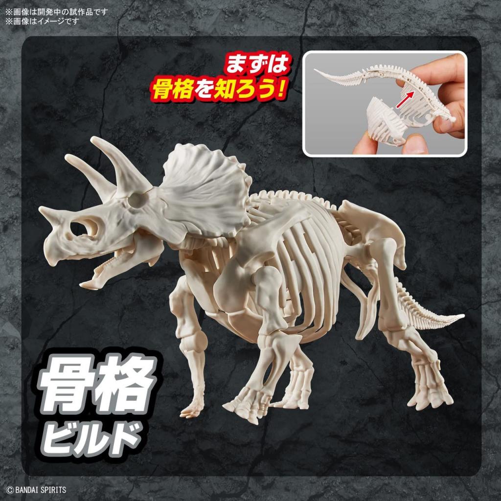 DINOSAUR - New Dinosaur Plastic Triceratops (Tentative) - Model Kit - 5