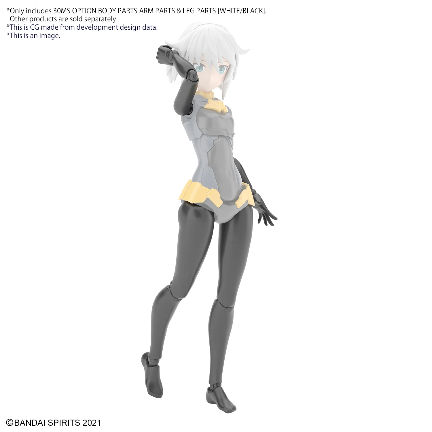 Image agrandie
