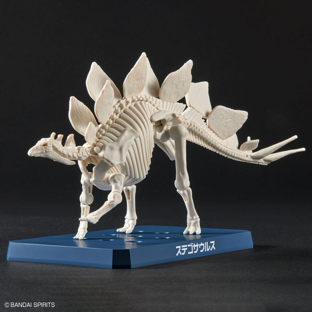 DINOSAUR - New Dinosaur Plastic Stegosaurus (Tentative) - Model Kit - 4