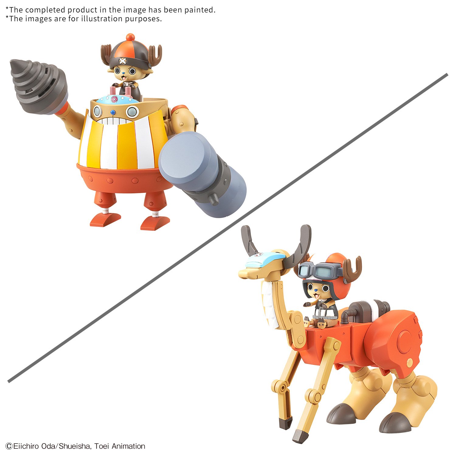 Image agrandie