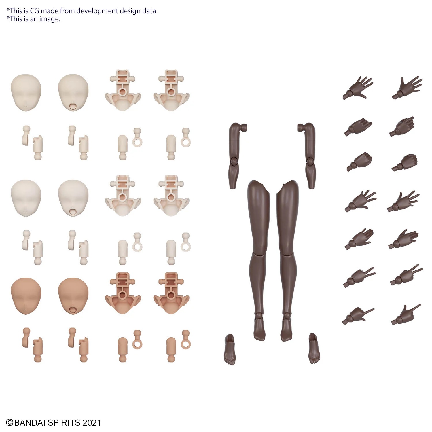Image agrandie