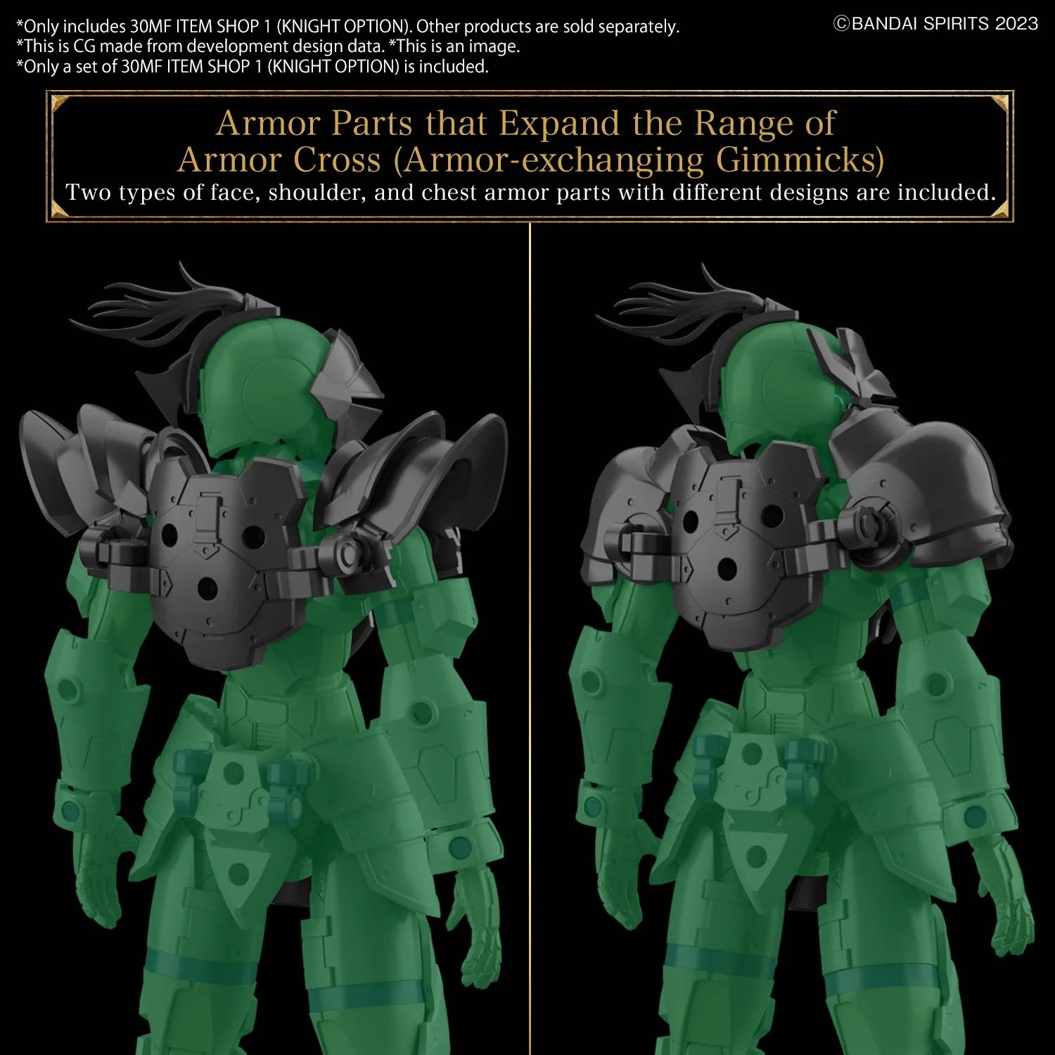 Image agrandie