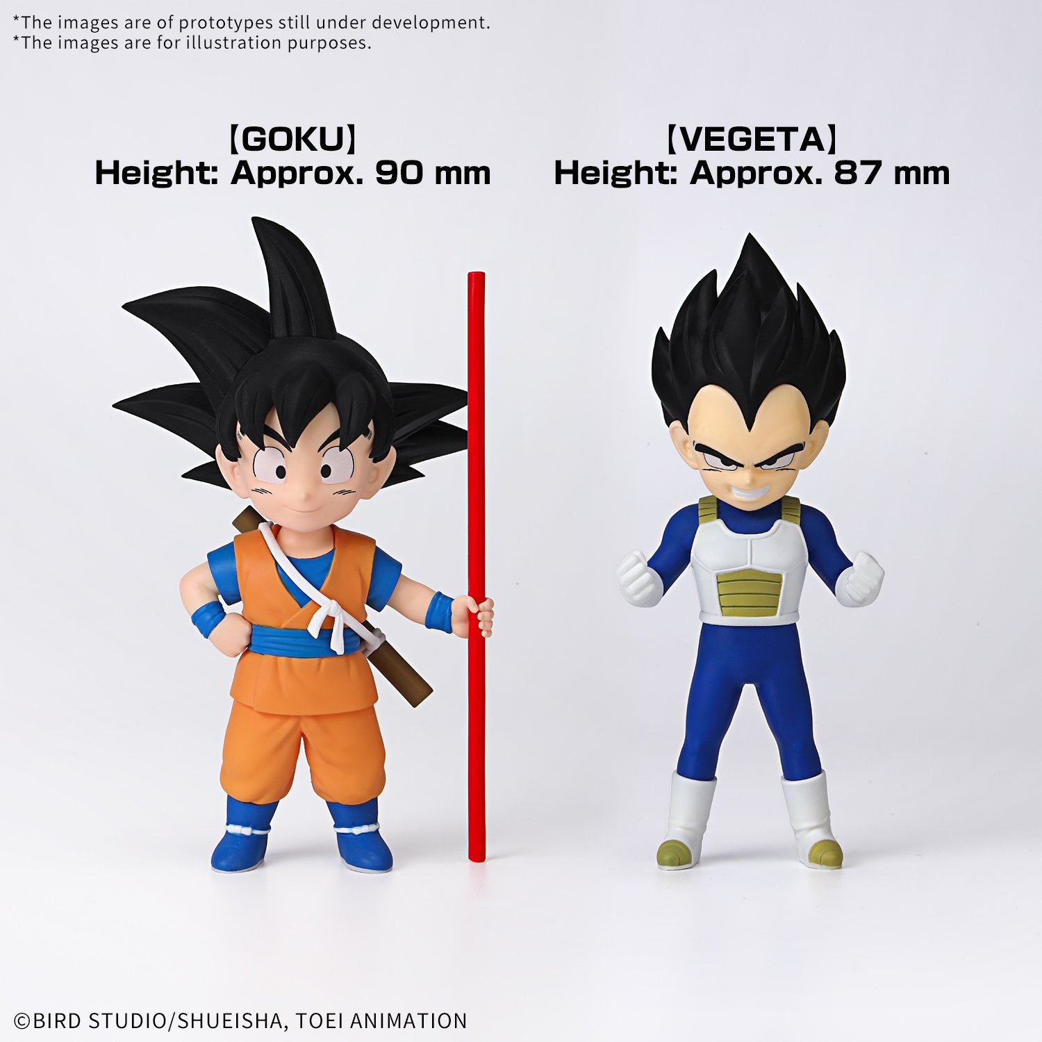 Image agrandie