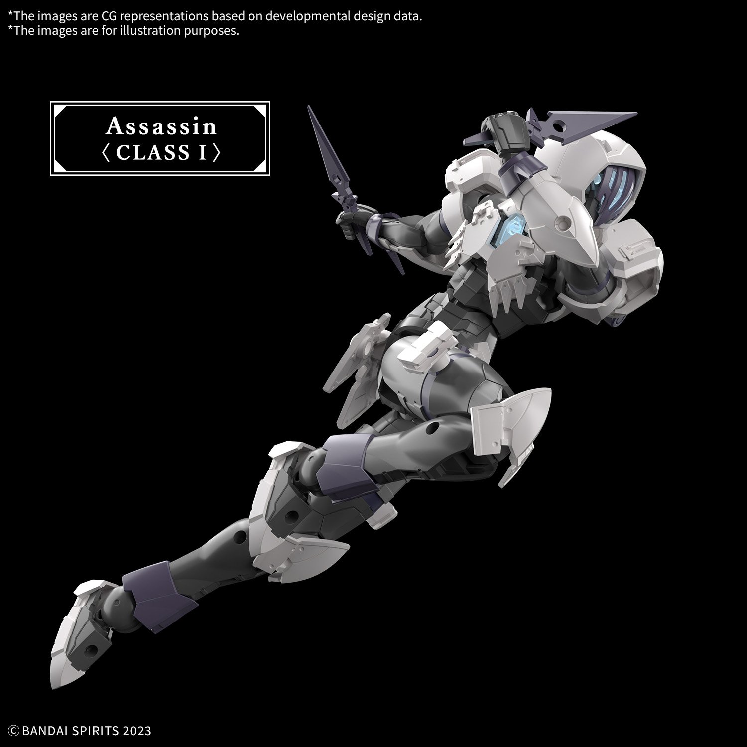 Image agrandie