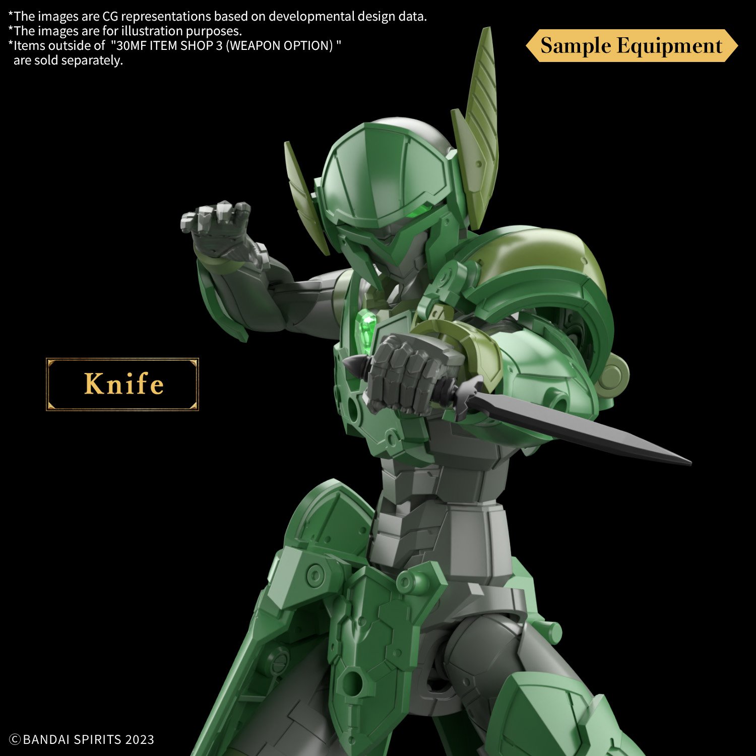 Image agrandie